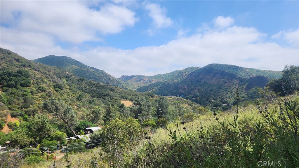 MLS #OC25261224 image #11