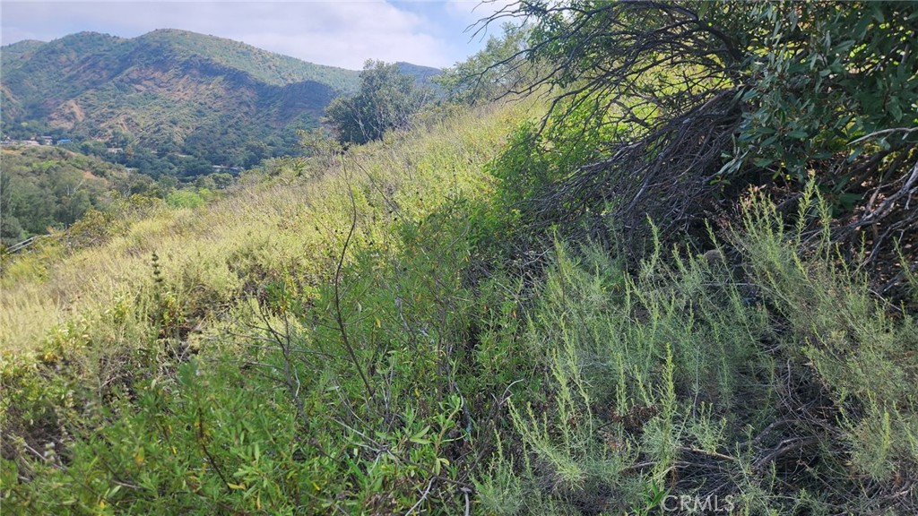 MLS #OC25261224 image #6