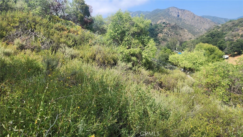 MLS #OC25261224 image #7