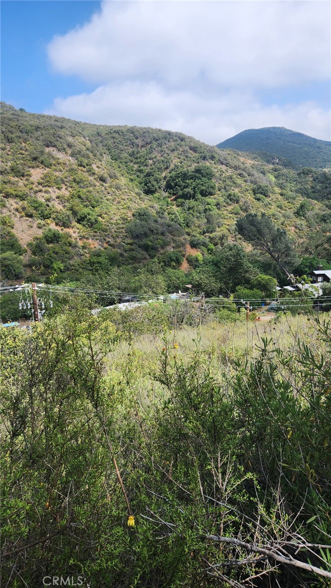 MLS #OC25261224 image #8