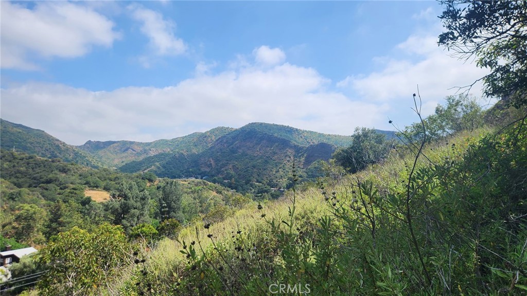 MLS #OC25261224 image #9