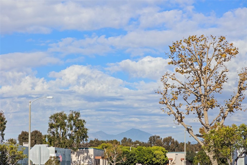 MLS #OC25261326 image #24