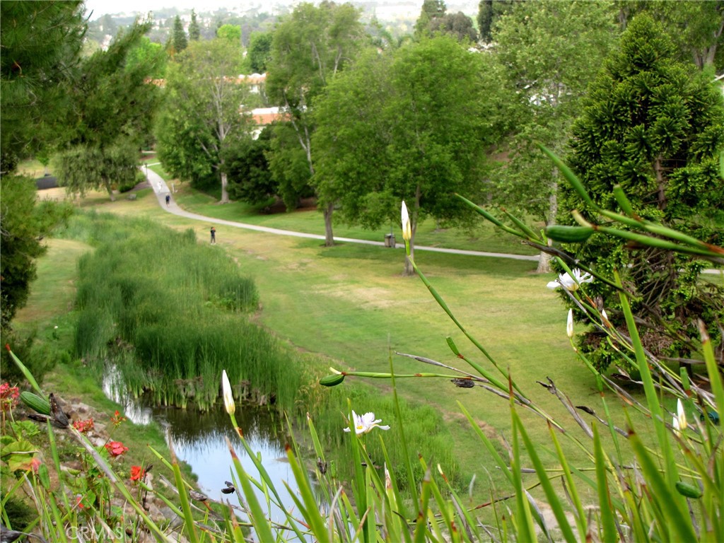 MLS #OC25261338 image #24