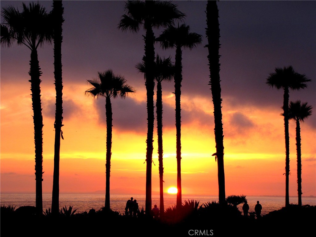 MLS #OC25261338 image #26