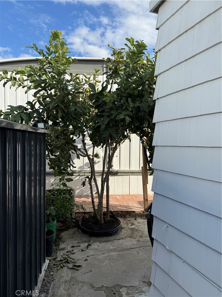 MLS #OC25261374 image #22