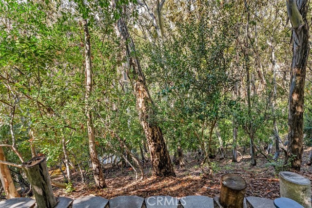 MLS #OC25261899 image #35