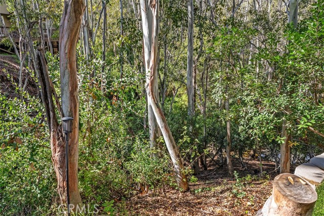 MLS #OC25261899 image #40