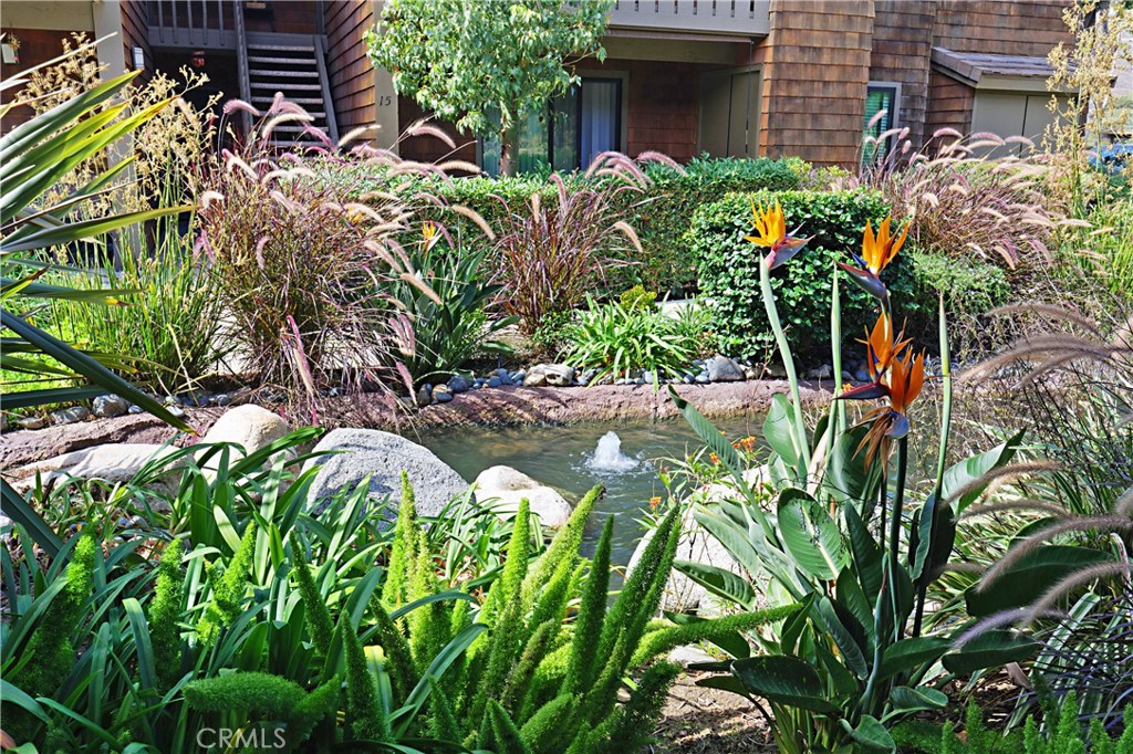 MLS #OC25262570 image #25