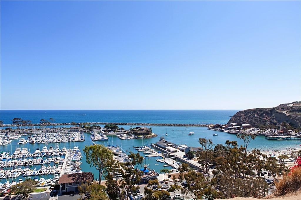 MLS #OC25262570 image #33