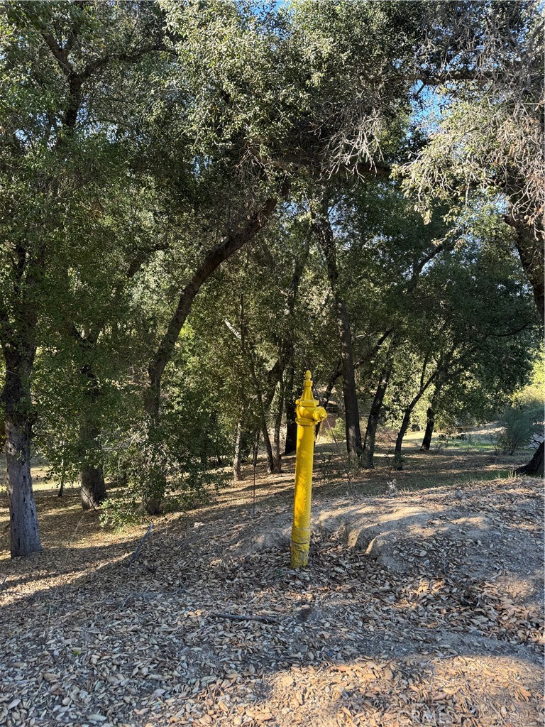 MLS #OC25262578 image #12