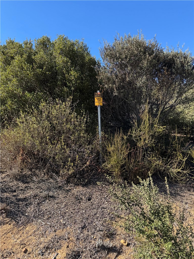 MLS #OC25262578 image #14