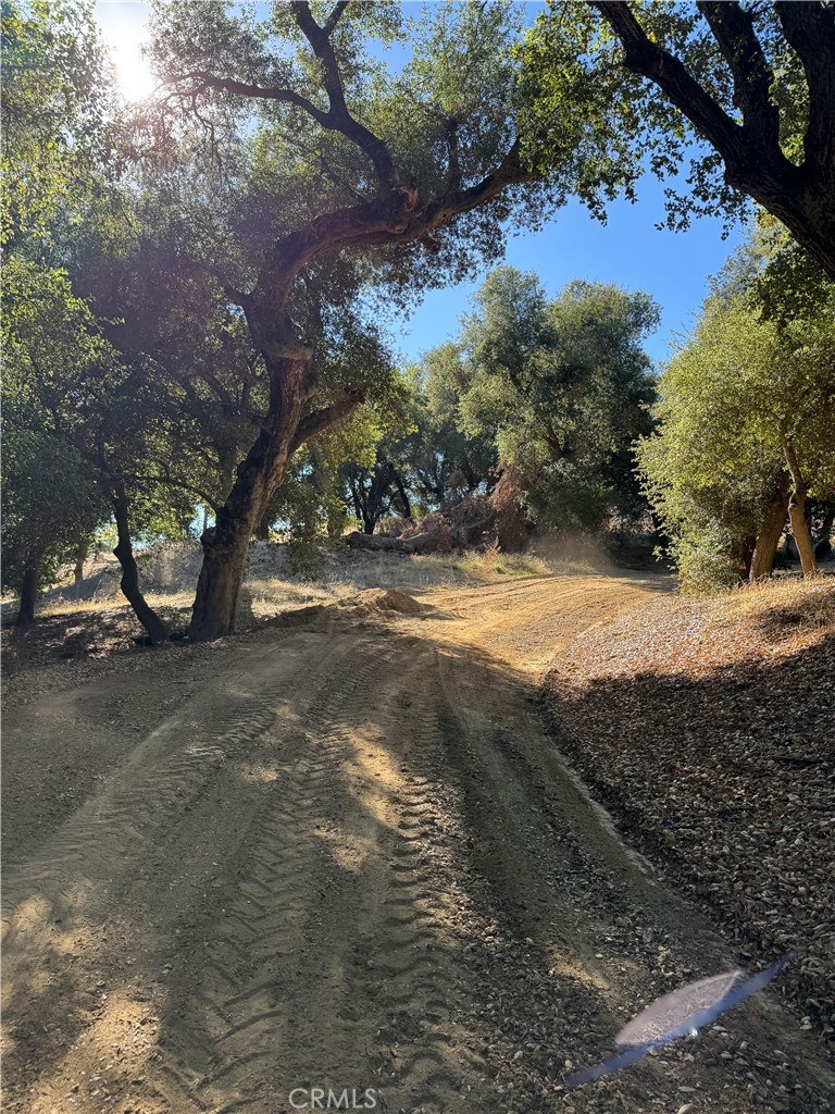 MLS #OC25262578 image #16