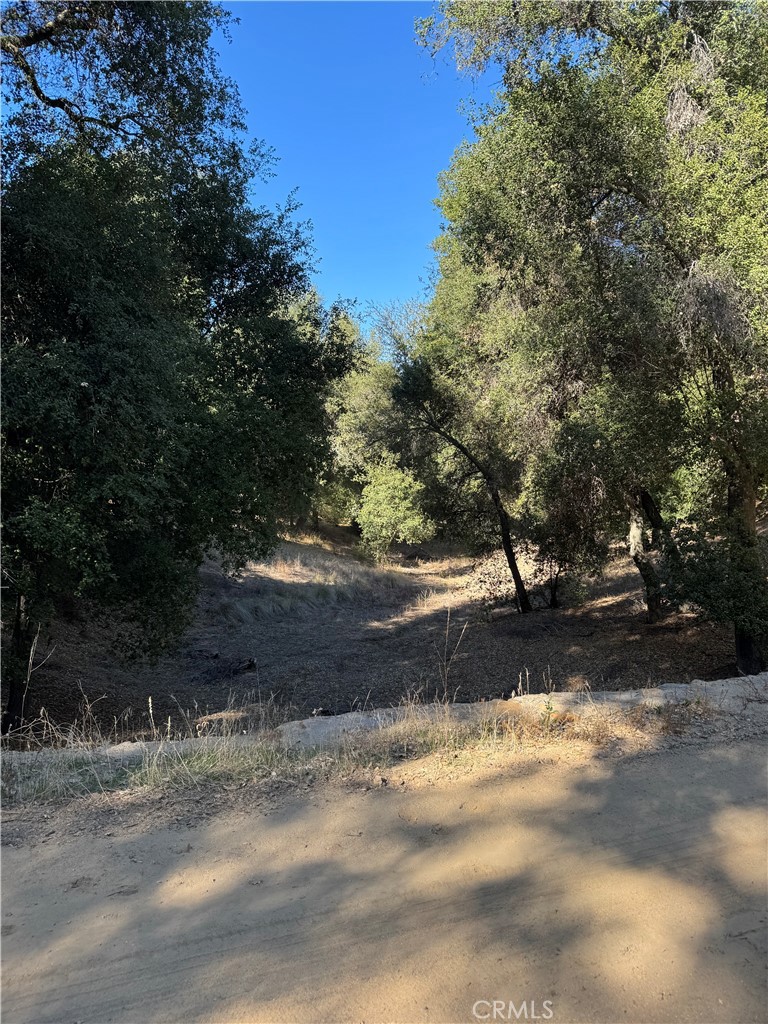 MLS #OC25262578 image #25