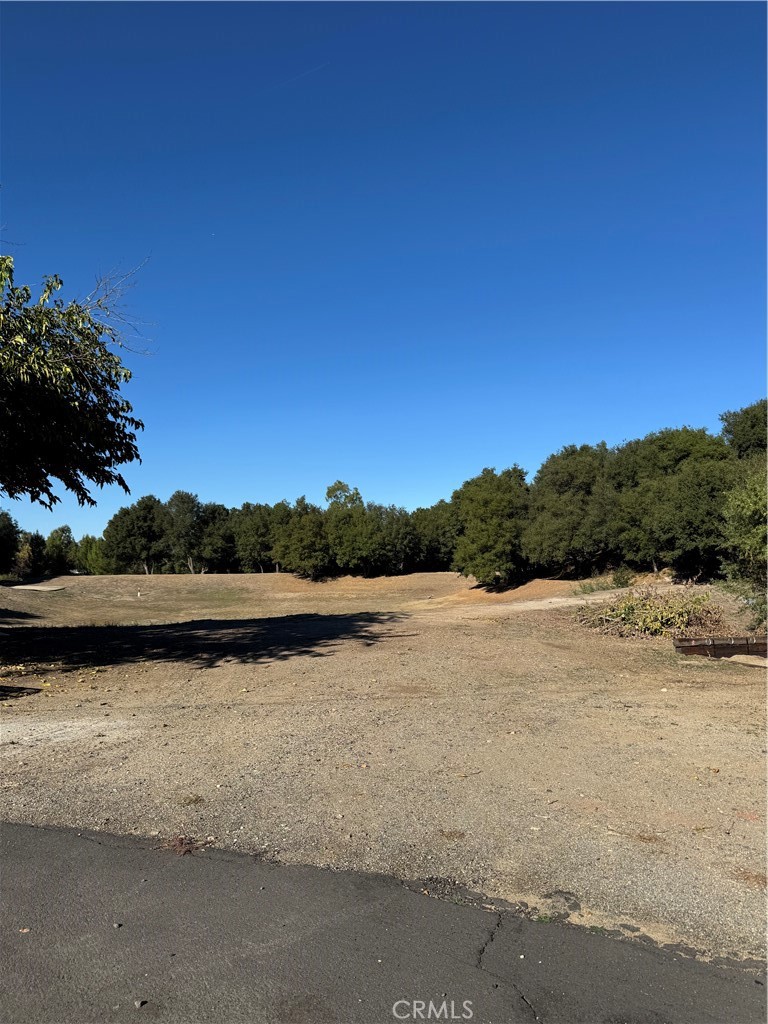 MLS #OC25262578 image #45