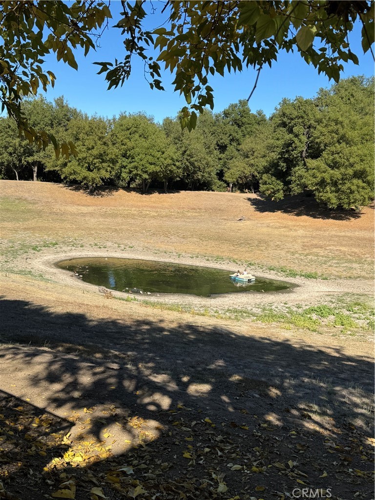 MLS #OC25262578 image #48