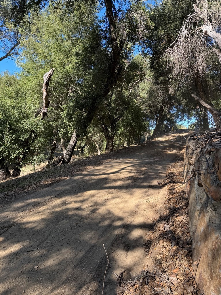 MLS #OC25262578 image #56