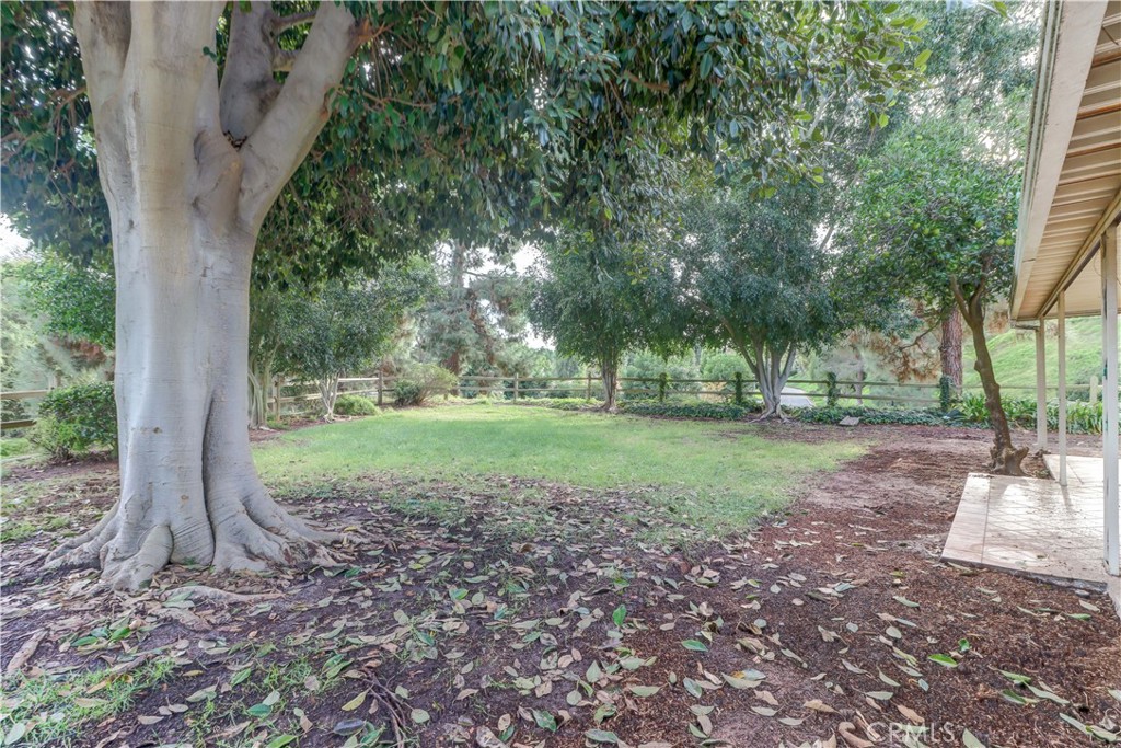 MLS #OC25262630 image #5