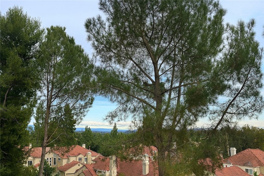 MLS #OC25262802 image #20