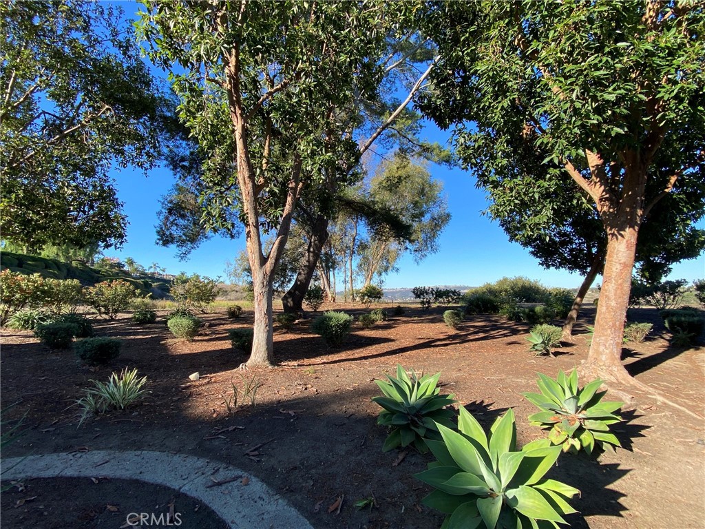 MLS #OC25262842 image #31