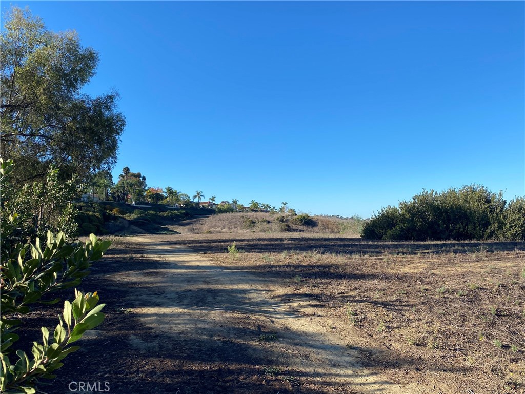 MLS #OC25262842 image #32