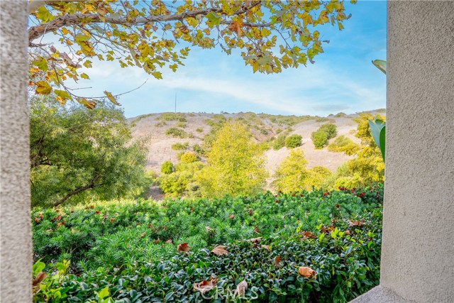 MLS #OC25262963 image #40