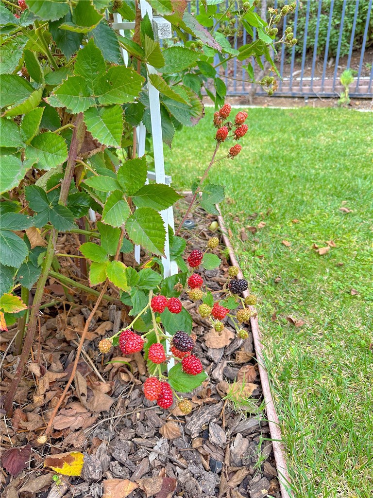 MLS #OC25262987 image #35