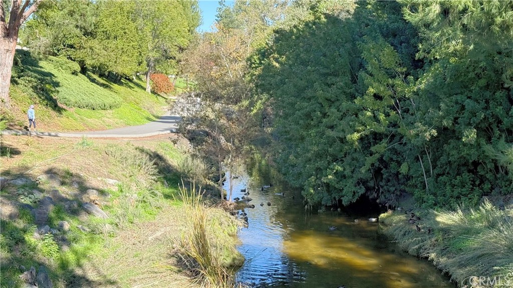 MLS #OC25263470 image #10