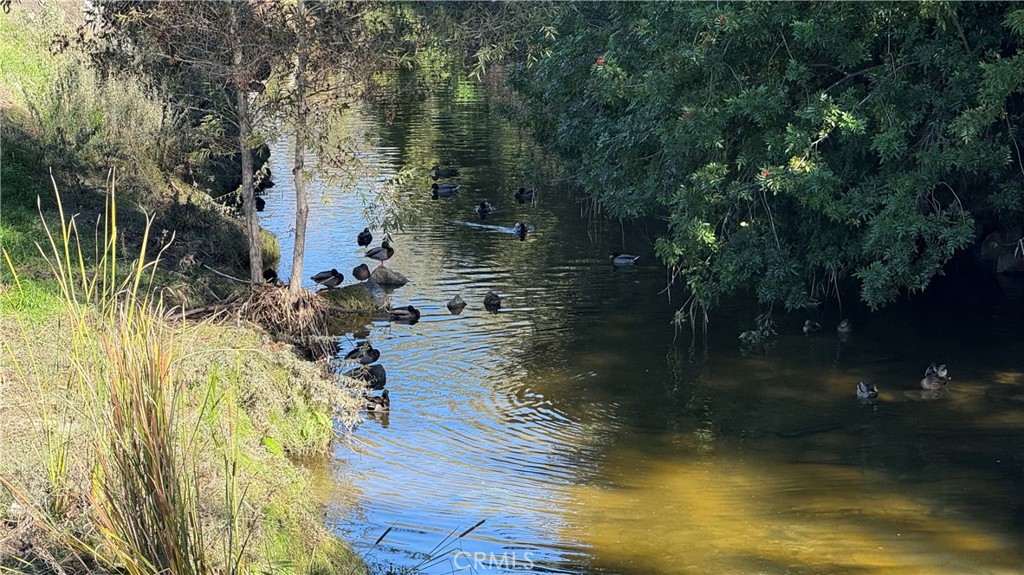 MLS #OC25263470 image #14