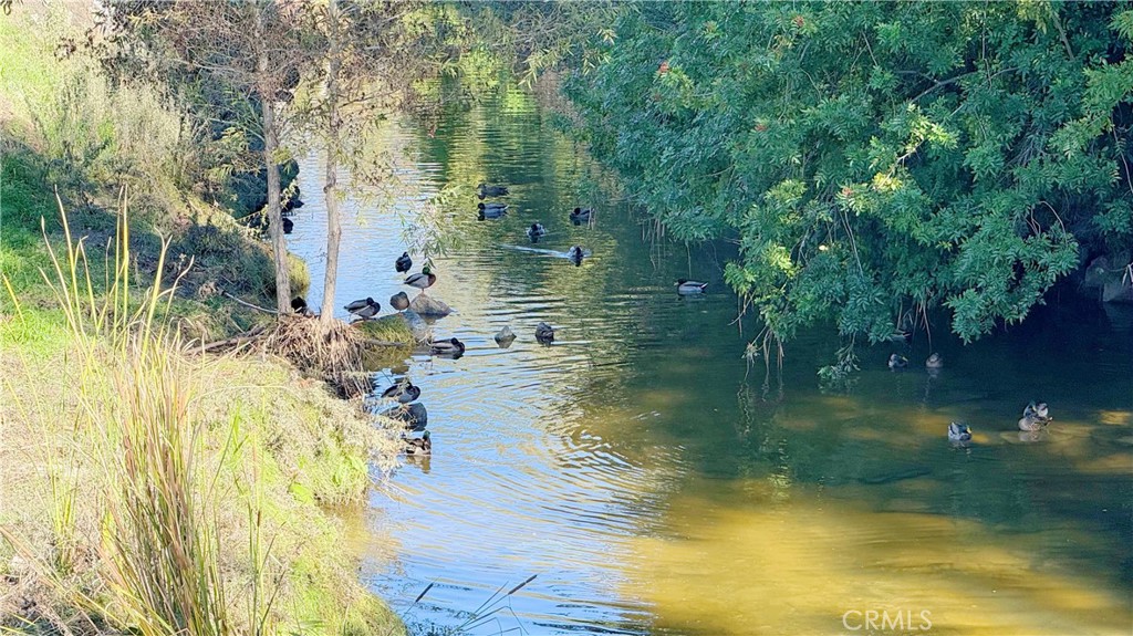 MLS #OC25263470 image #19