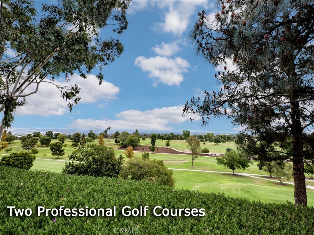 MLS #OC25263470 image #39