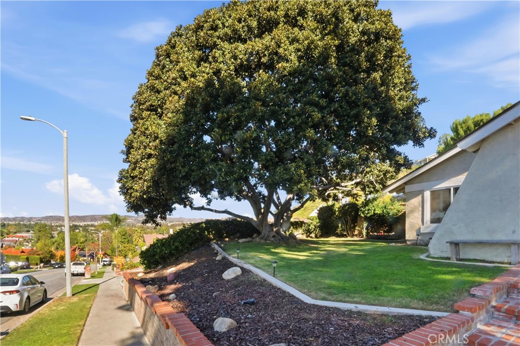 MLS #OC25263861 image #4