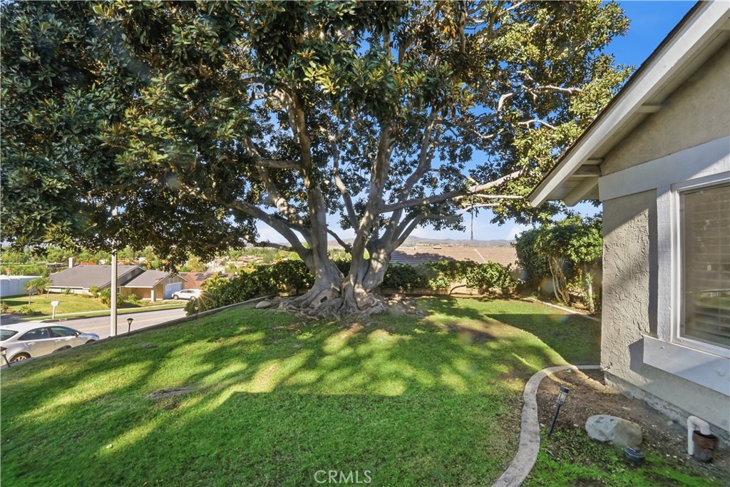 MLS #OC25263861 image #5