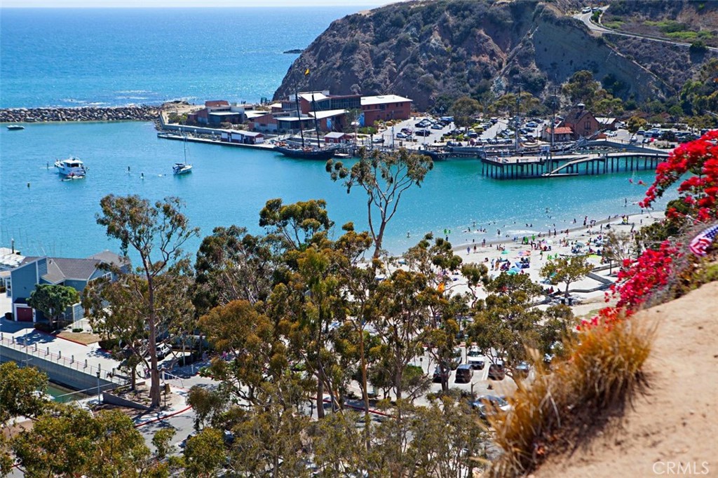 MLS #OC25264162 image #42