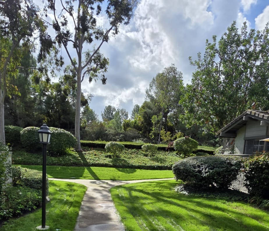 MLS #OC25264747 image #4