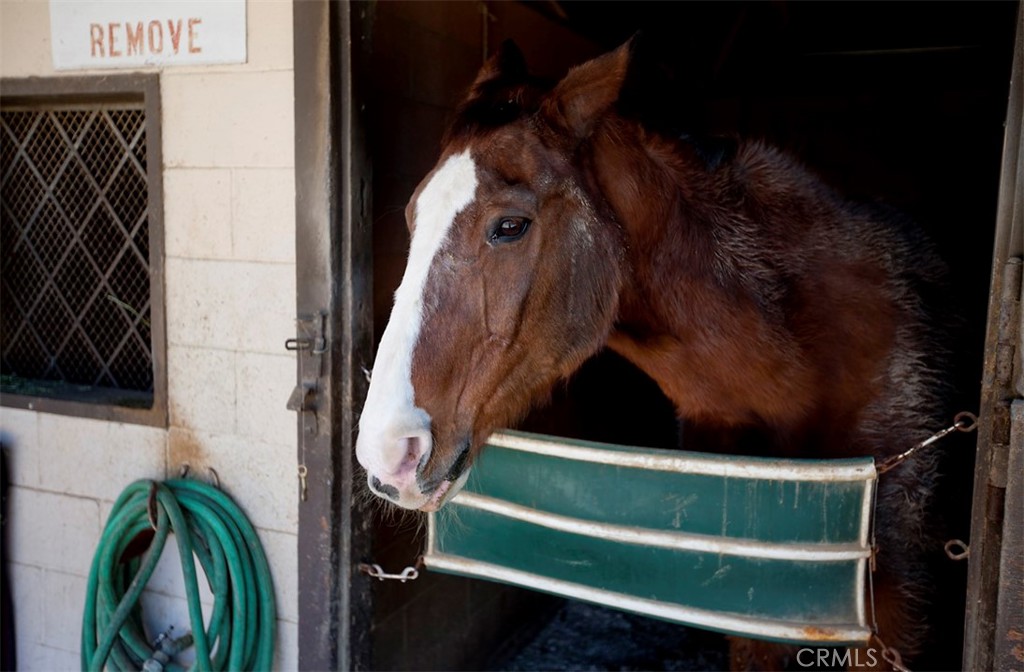 MLS #OC25265279 image #27