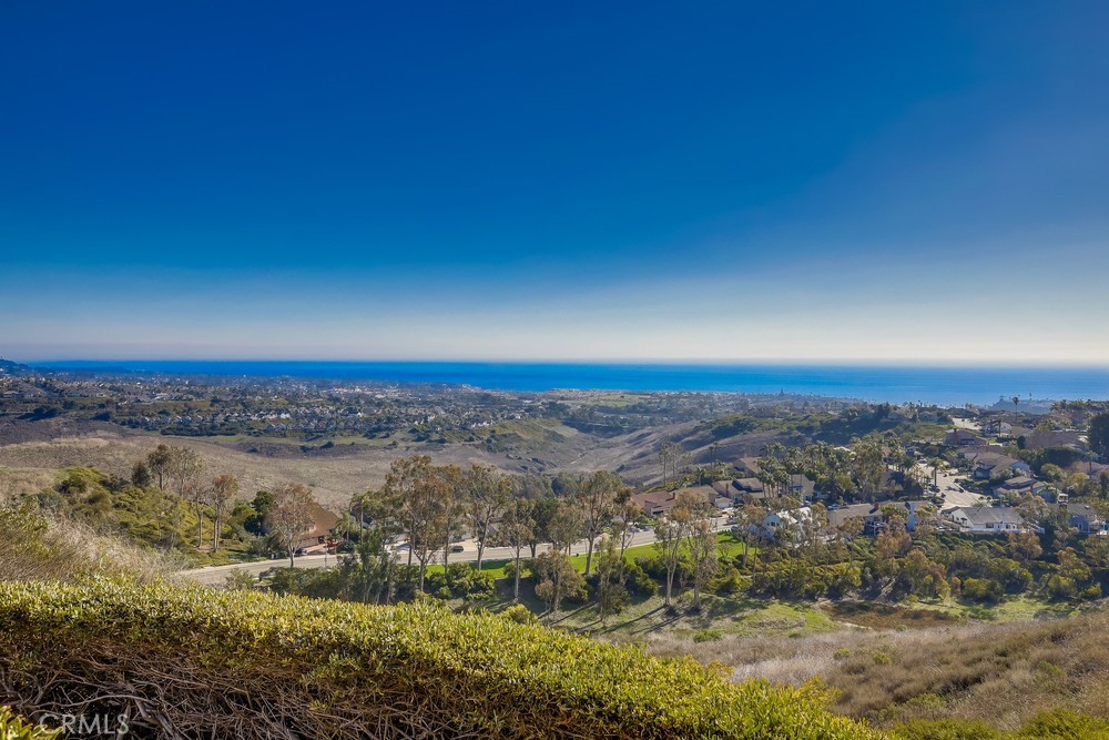 MLS #OC25265308 image #58