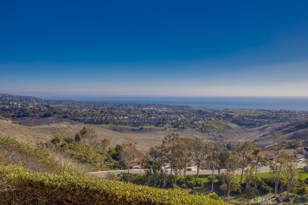 MLS #OC25265308 image #59