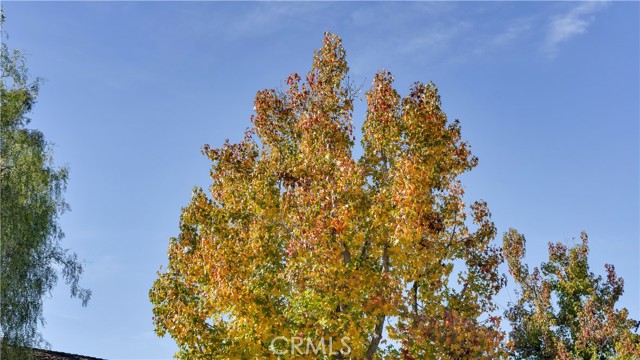 MLS #OC25265952 image #49