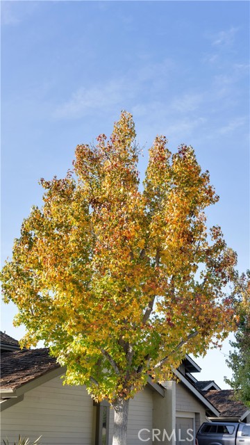 MLS #OC25265952 image #50