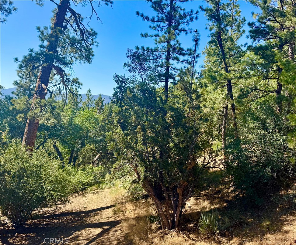 MLS #OC25266224 image #30