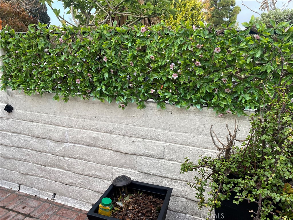 MLS #OC25266334 image #3