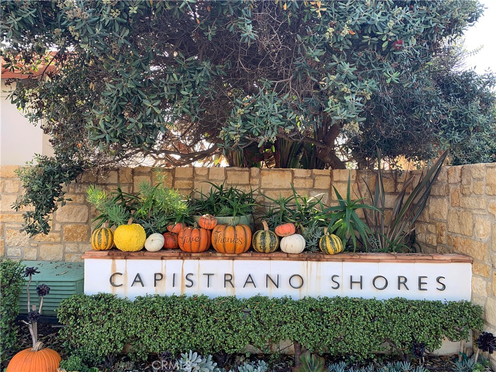 MLS #OC25266700 image #14