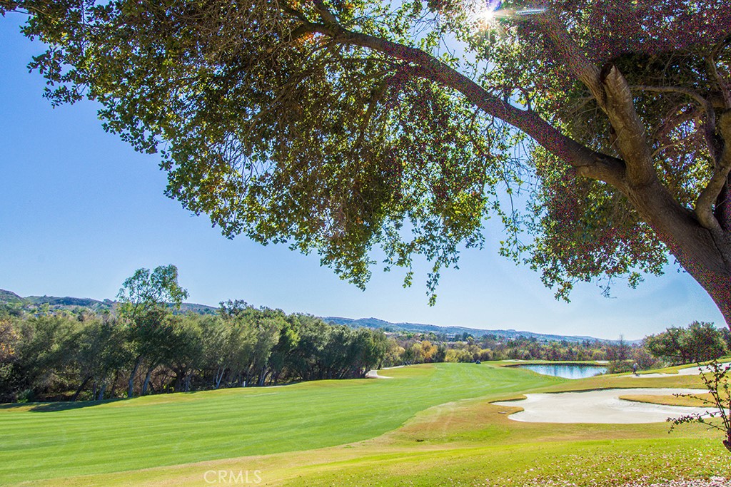 MLS #OC25266962 image #1