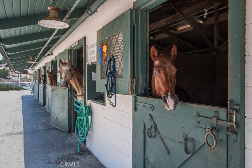 MLS #OC25267165 image #42