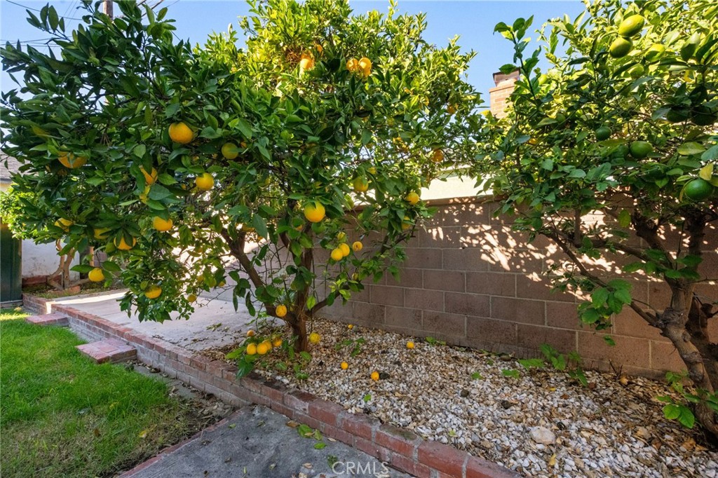 MLS #OC25267202 image #36