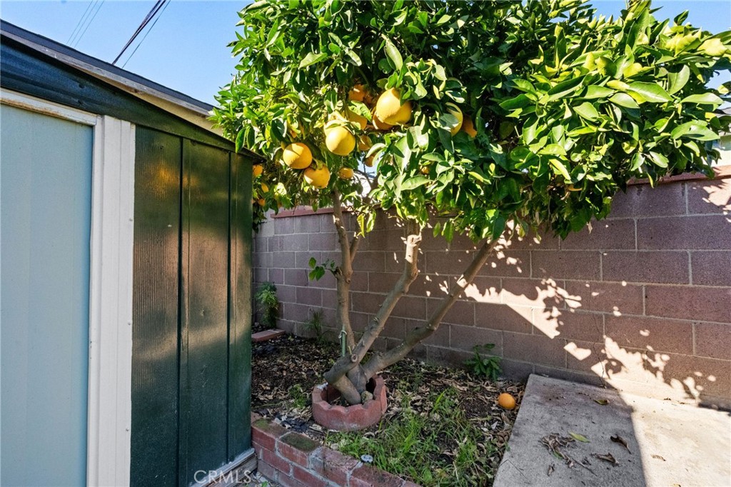 MLS #OC25267202 image #38