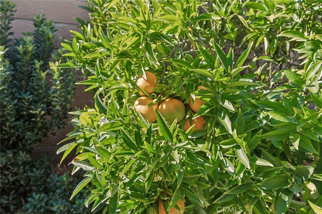 MLS #OC25268065 image #34