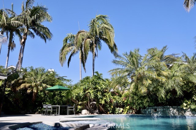 MLS #OC25268097 image #44