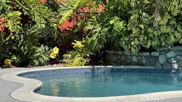 MLS #OC25268097 image #5