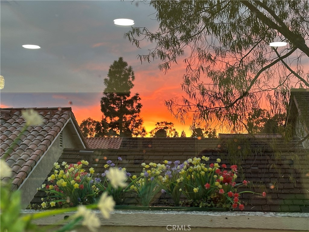 MLS #OC25268230 image #39